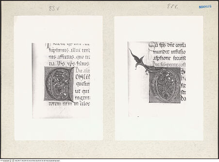 Vorderseite von bh229617_bh229618_recto