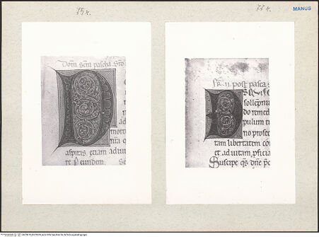 Vorderseite von bh229619_bh229620_recto