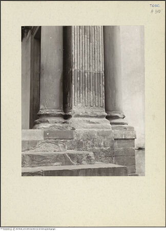 Vorderseite von bh229688_recto