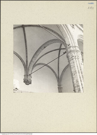 Vorderseite von bh229708_recto