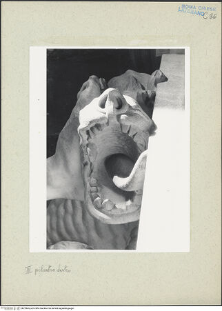 Vorderseite von bh229845_recto