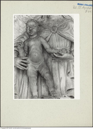 Vorderseite von bh229961_recto