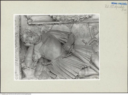 Vorderseite von bh229962_recto