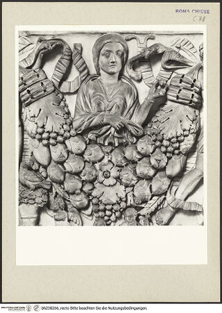 Vorderseite von Courtauld Institute [https://www.deutsche-digitale-bibliothek.de/content/lizenzen/rv-ez/] Sockelzone und Himmelfahrt Mariens Fresken in der SockelzoneIllusionistische Darstellung von Wandnischen mit Bänken; Szenen aus der Vita verschiedener HeiligerDas Martyrium der heiligen Katharina von Alexandrien - Gesamtansicht, bh230266_recto. Foto.