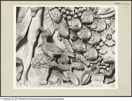 Vorderseite von Courtauld Institute [https://www.deutsche-digitale-bibliothek.de/content/lizenzen/rv-ez/] Grabmonument für Luca Savelli (gest. 1266)Sarkophag mit zwei Halbfiguren der Verstorbenen und zwei von drei Jünglingsgestalten gezogene Festons - Detail: Putto mit Vogel unter dem linken Feston, bh230369_recto. Foto.