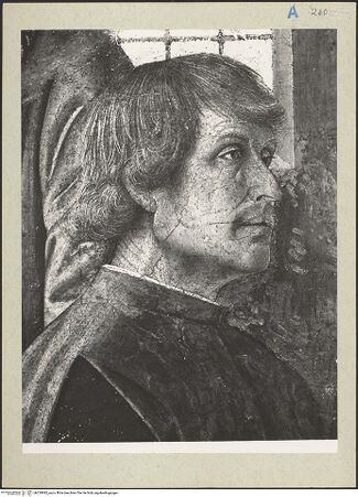 Vorderseite von bh230892_recto