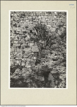 Vorderseite von bh231395_recto