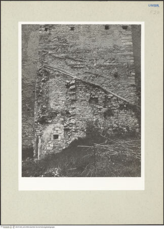 Vorderseite von bh231449_recto