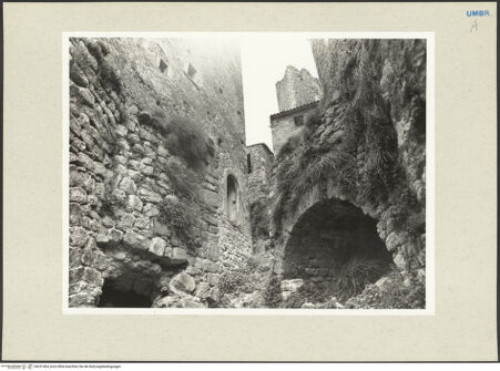 Vorderseite von bh231464_recto