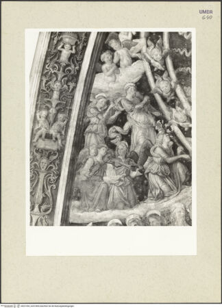 Vorderseite von bh231493_recto