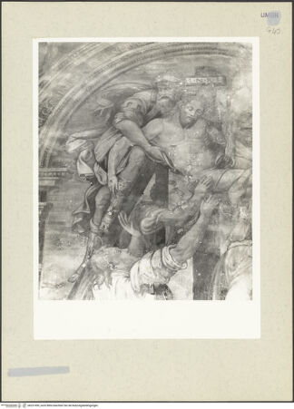 Vorderseite von bh231495_recto