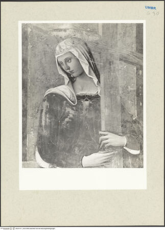 Vorderseite von bh231511_recto