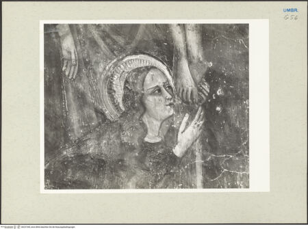 Vorderseite von bh231545_recto