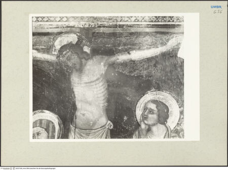 Vorderseite von bh231546_recto