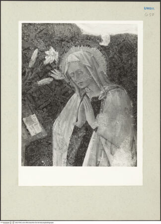 Vorderseite von bh231564_recto