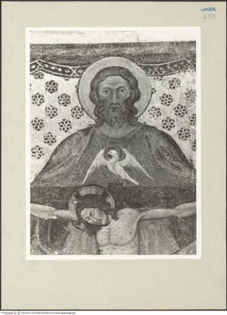 Vorderseite von bh231570_recto