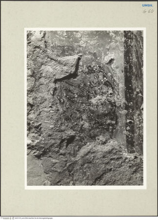 Vorderseite von bh231575_recto