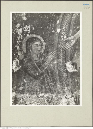 Vorderseite von bh231580_recto