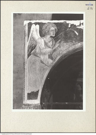 Vorderseite von bh231652_recto