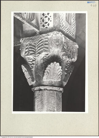 Vorderseite von bh231661_recto