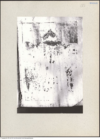 Vorderseite von bh231907_recto