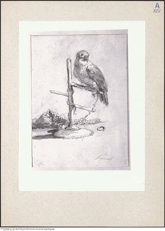 Vorderseite von bh231969_recto