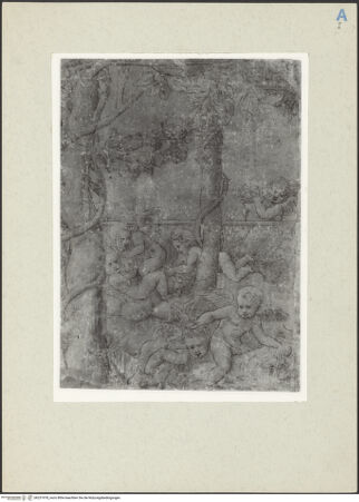 Vorderseite von bh231978_recto