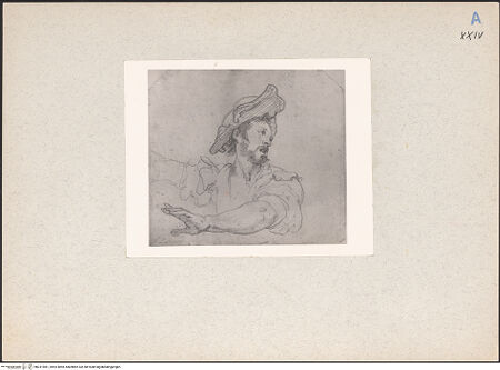 Vorderseite von bh231981_recto