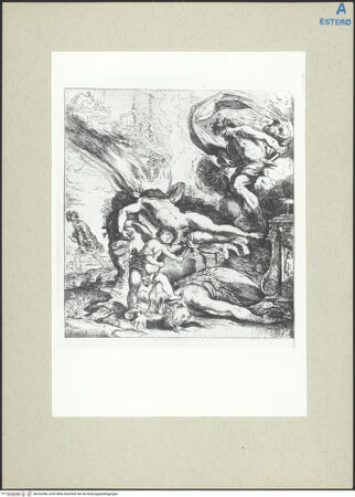 Vorderseite von bh232098_recto