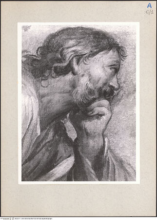 Vorderseite von Bibliotheca Hertziana [http://creativecommons.org/publicdomain/mark/1.0/] ... - , bh232111_recto. Foto.