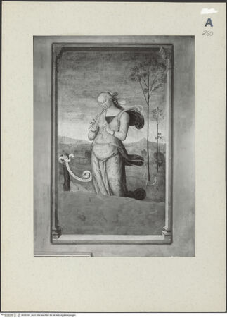 Vorderseite von bh232307_recto