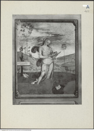 Vorderseite von bh232309_recto