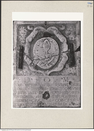 Vorderseite von Pedicini, Luciano [https://www.deutsche-digitale-bibliothek.de/content/lizenzen/rv-ez/] Denkmal der Domherren von Carinola - Gesamtansicht, bh232424_recto. Foto: Pedicini, Luciano.