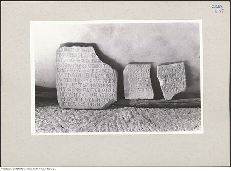 Vorderseite von Pace, Valentino [https://www.deutsche-digitale-bibliothek.de/content/lizenzen/rv-ez/] Gesamtansicht, bh232487_recto. Foto: Pace, Valentino.