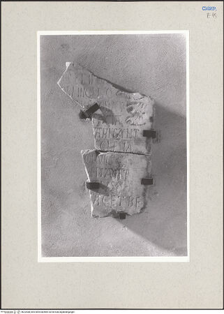 Vorderseite von Pace, Valentino [https://www.deutsche-digitale-bibliothek.de/content/lizenzen/rv-ez/] Gesamtansicht, bh232488_recto. Foto: Pace, Valentino.