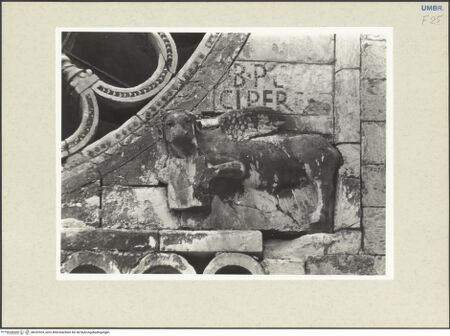 Vorderseite von bh232524_recto