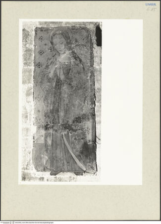 Vorderseite von bh232562_recto