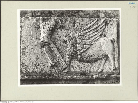 Vorderseite von bh232679_recto