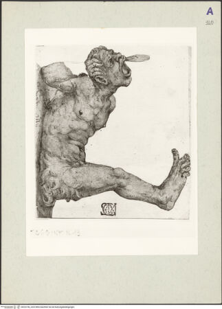 Vorderseite von bh232746_recto