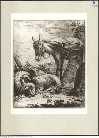 Vorderseite von bh232766_recto