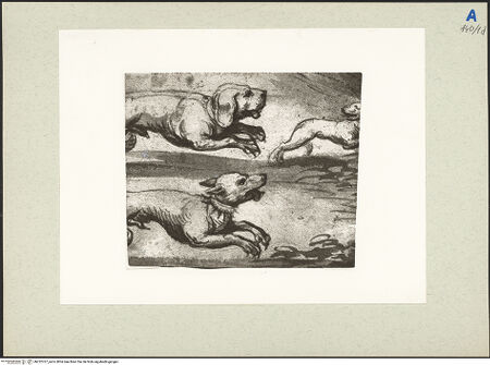 Vorderseite von bh232767_recto