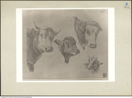 Vorderseite von bh232773_recto