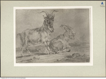 Vorderseite von bh232776_recto