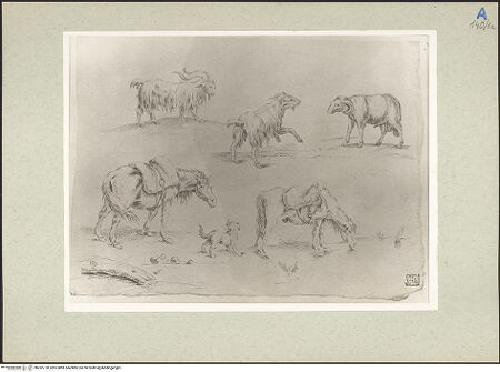 Vorderseite von bh232778_recto