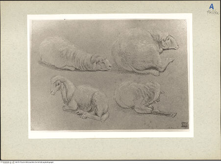 Vorderseite von bh232779_recto