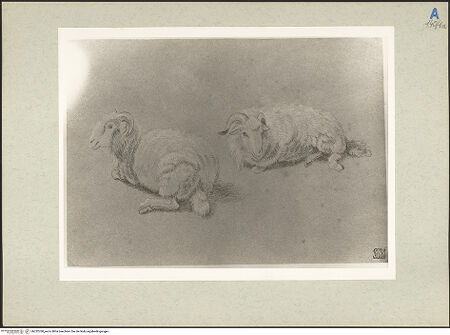 Vorderseite von bh232780_recto