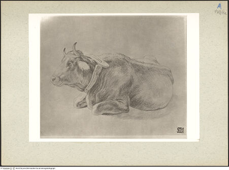 Vorderseite von bh232784_recto