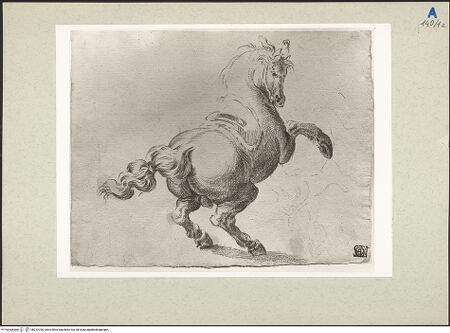 Vorderseite von bh232790_recto