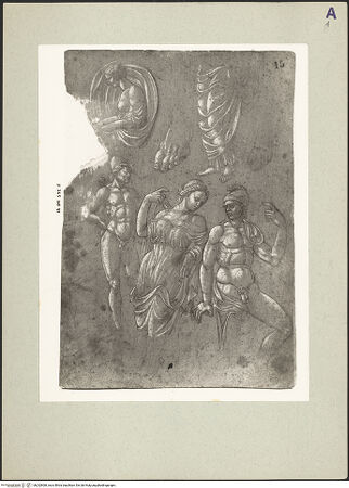 Vorderseite von bh232808_recto