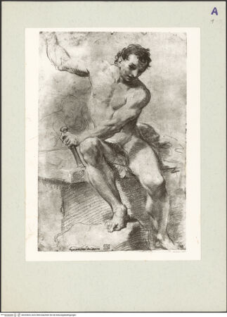 Vorderseite von bh232824_recto